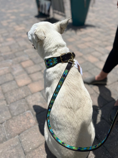 "Peacock Argyle" Beaded Dog Lead