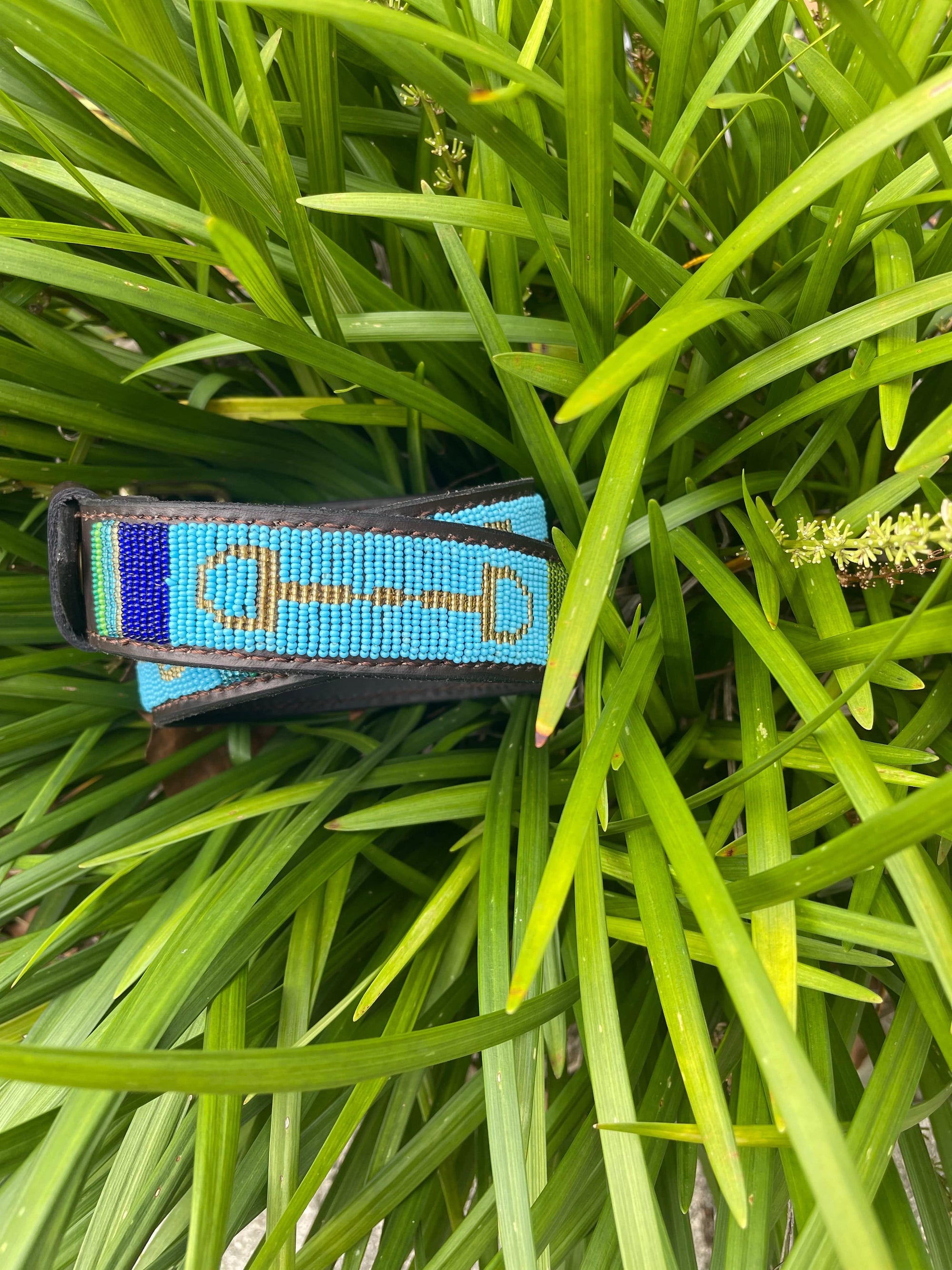 Peacock Bits Belt - Wide Width