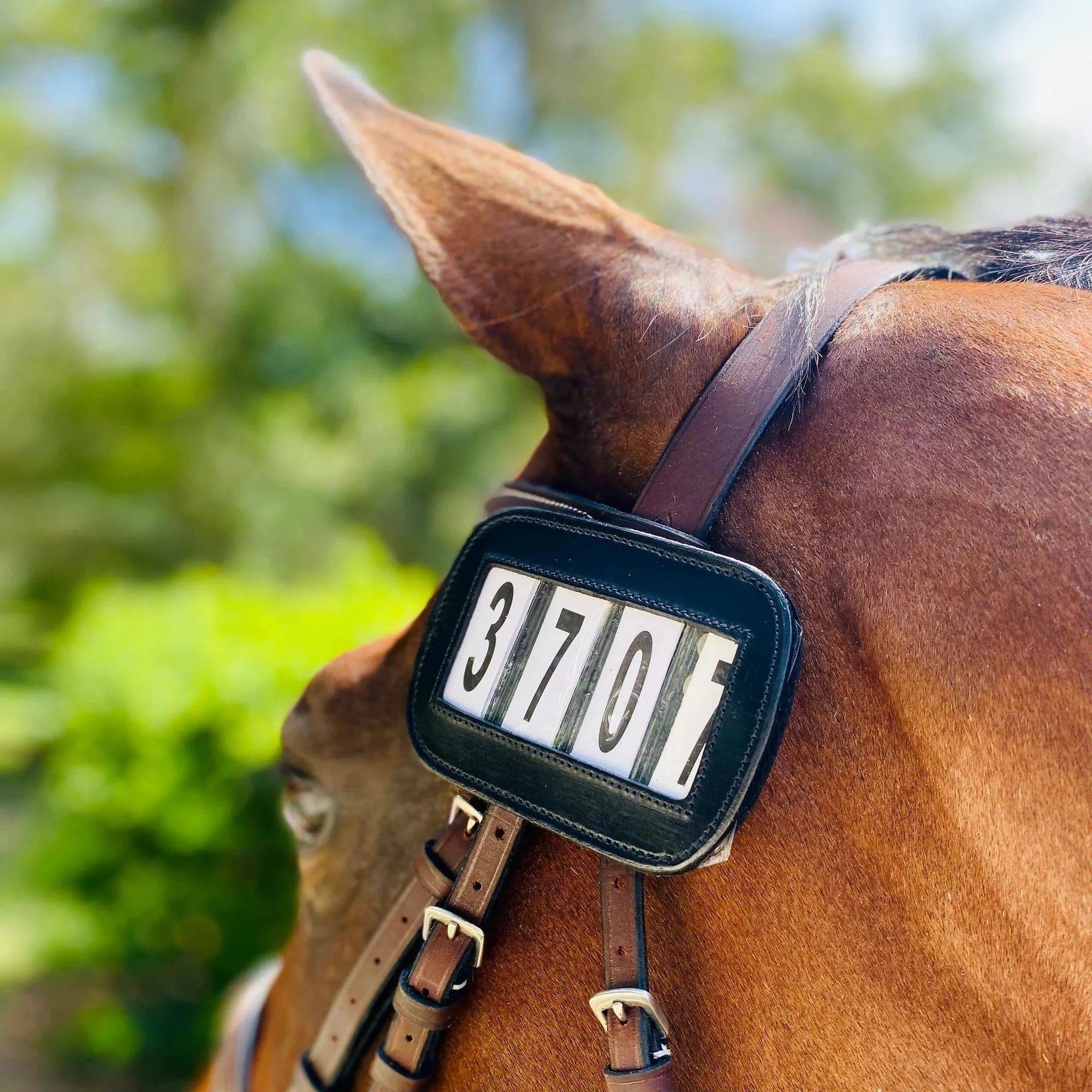 ACE PRO4MANCE | # I.D. (Wearable Show Number I.D. - Qty. 2) - Exceptional Equestrian