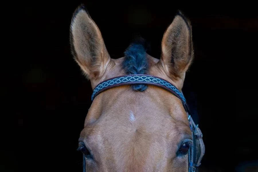 The Grewal Equestrian - INTERTWINING CHAIN BLING BROWBAND - Exceptional Equestrian
