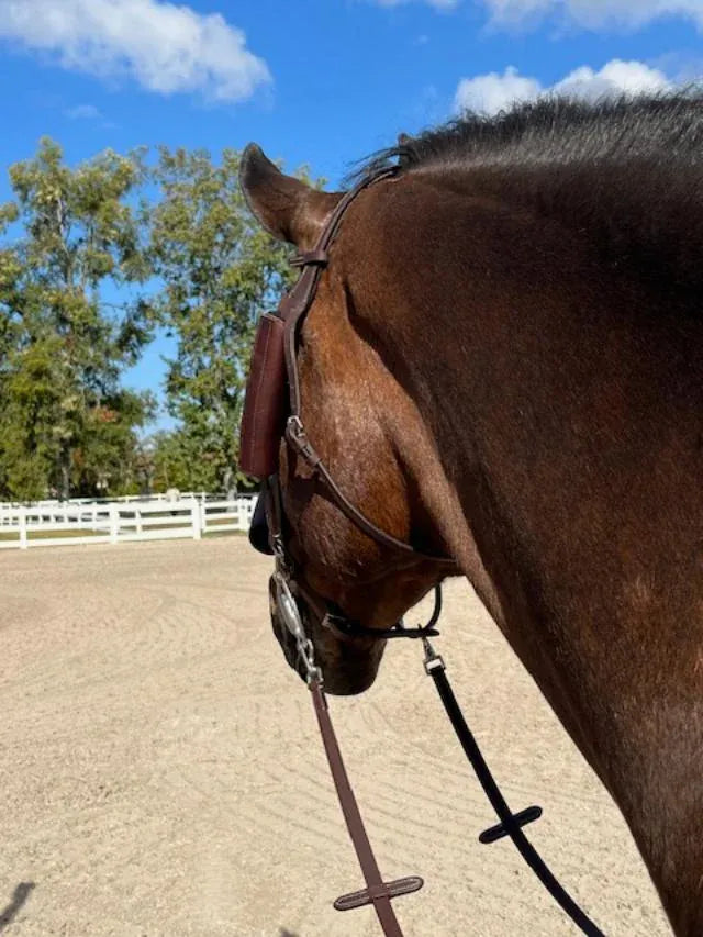 Dzia Sport - Happy-Horse Eyes Forward Removable Leather Blinkers