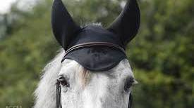 LT Ear Bonnet With Sound Reducing Ears - Exceptional Equestrian