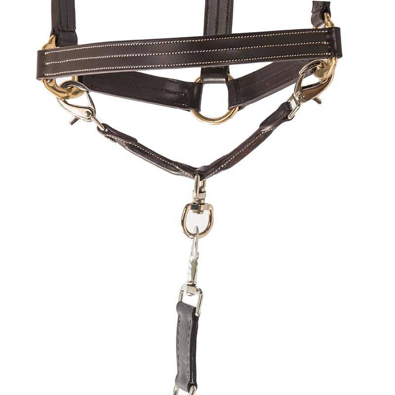 The TackHack - Leather Lunge Strap - Exceptional Equestrian