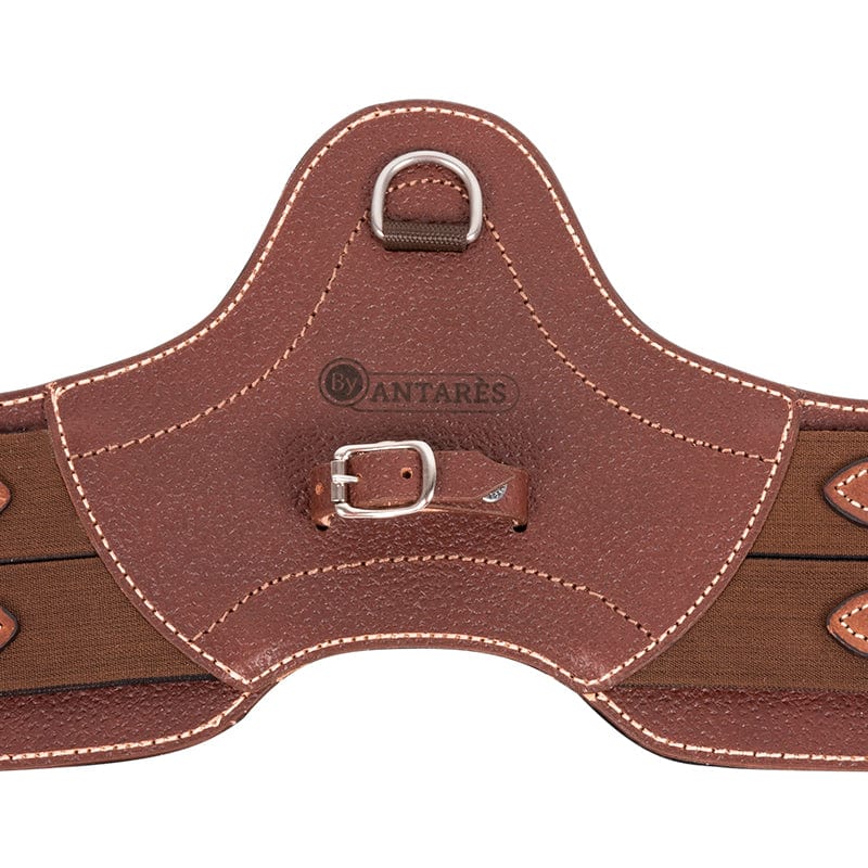 Signature by Antares Short Anatomic Girth (leather only) - Exceptional Equestrian