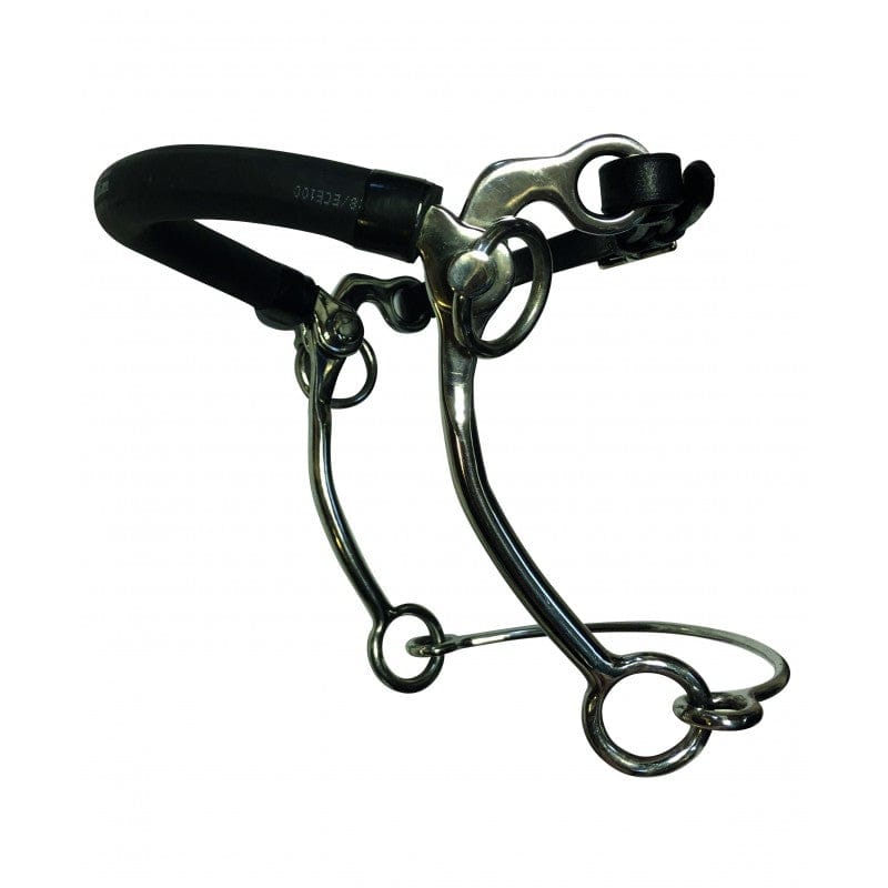Jump'In - Hackamore Peals Normal
