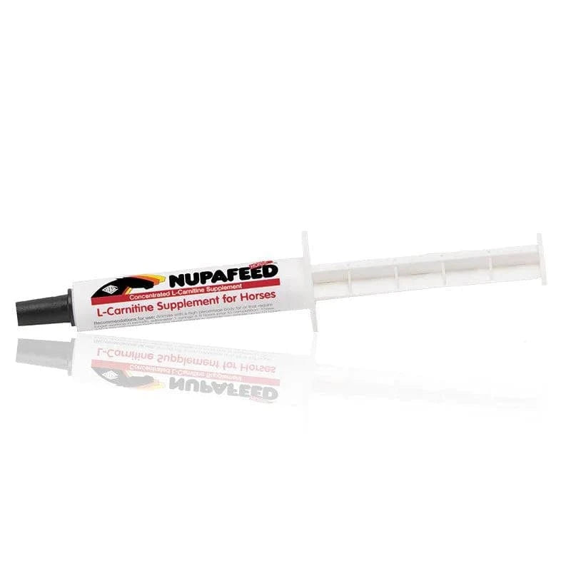 Nupafeed® L-Carnitine Concentrate Oral Paste | Horse Antioxidant - Exceptional Equestrian