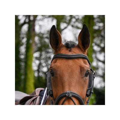 Jump'In Week Collection Leather Blinkers