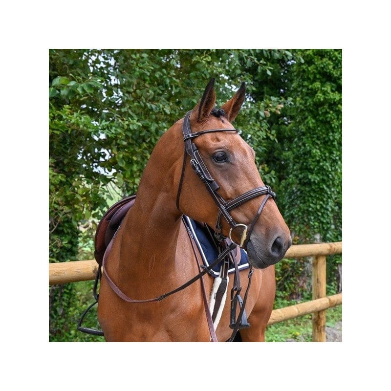 Jump'In Week Collection Leather Blinkers