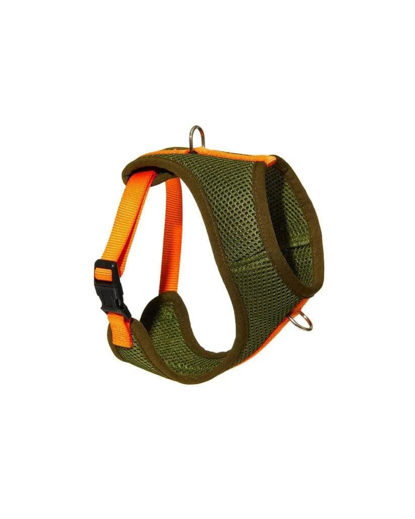 Wagwear - Color-Block Padded Harness - Exceptional Equestrian