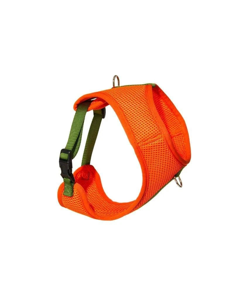 Wagwear - Color-Block Padded Harness - Exceptional Equestrian