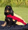 Horseware Rambo Deluxe Dog Rug - Witney Gold