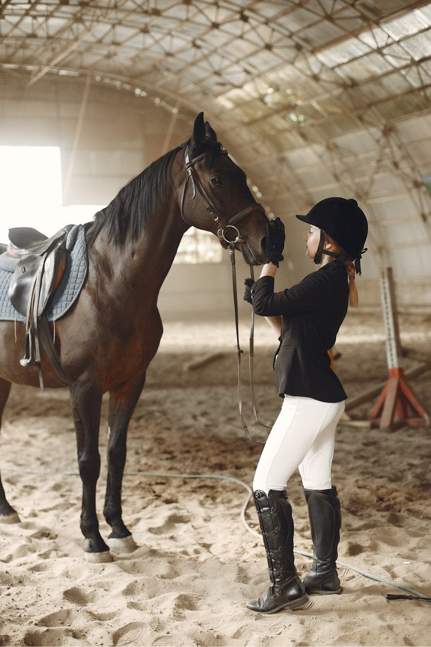Equestrian Store | Horse Riding Equipment | Exceptional Equestrian