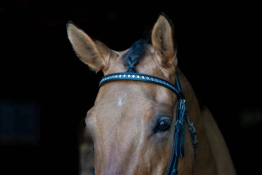 The Grewal Equestrian - ROSEALEE CRYSTAL CHAIN BROWBAND - Exceptional Equestrian 
