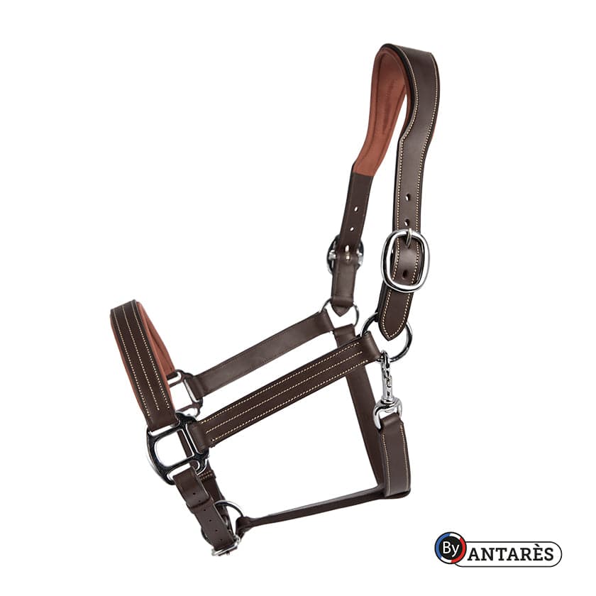 Signature by Antares Leather Halter - Exceptional Equestrian