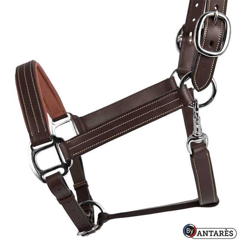 Signature by Antares Leather Halter - Exceptional Equestrian