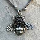 Sally Lowe Beautiful Bumblebee - Exceptional Equestrian