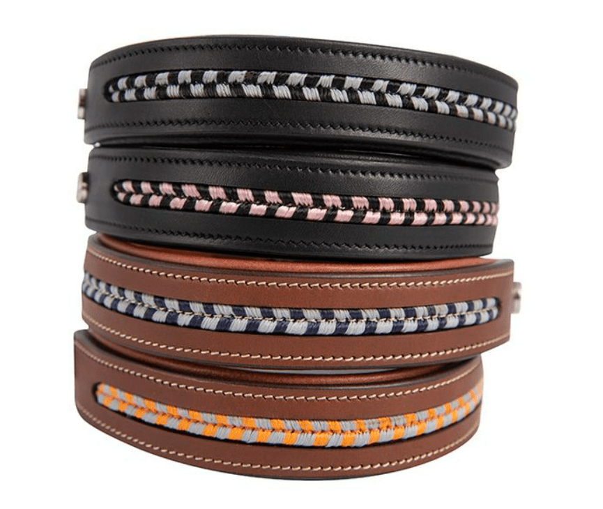Antares Leather Dog Collar - Exceptional Equestrian