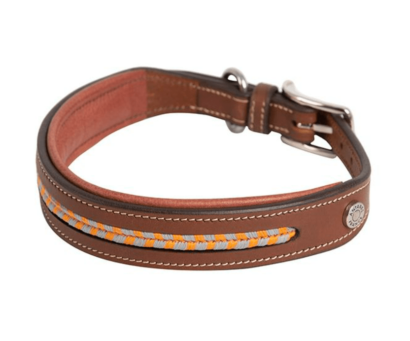 Antares Leather Dog Collar Exceptional Equestrian