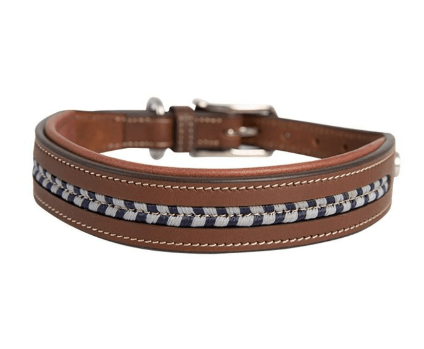 Antares Leather Dog Collar - Exceptional Equestrian