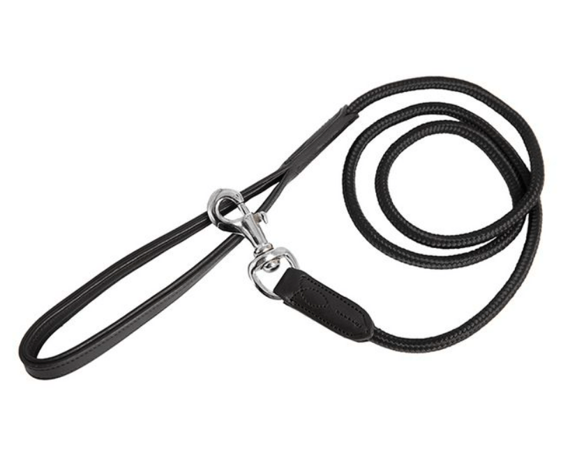 Antares Dog Lead - Exceptional Equestrian