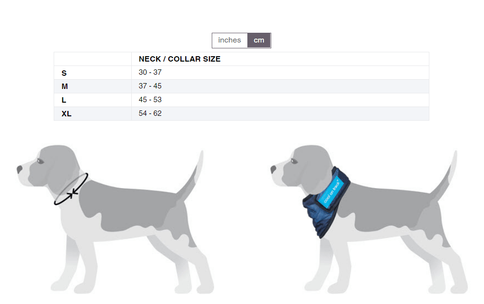 Back on Track - Cool on Track® Cooling Dog Bandana - Exceptional Equestrian