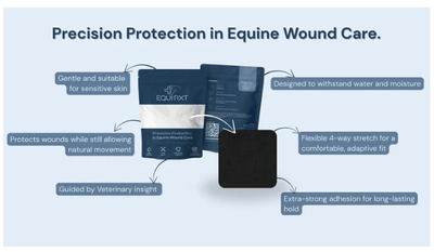 Equi-Fixt Adhesive Kit