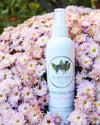 Purvida Paws - Deodorizing Spray