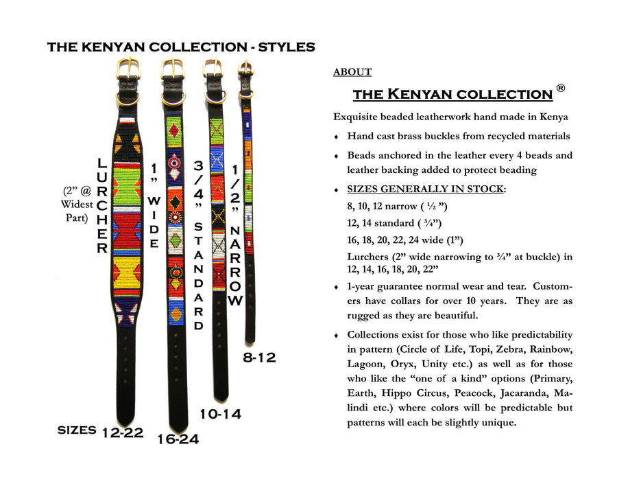 Maasai Shield Argyle Beaded Collar