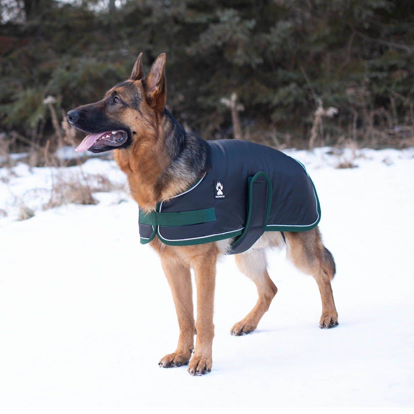 Shedrow cheap dog coats