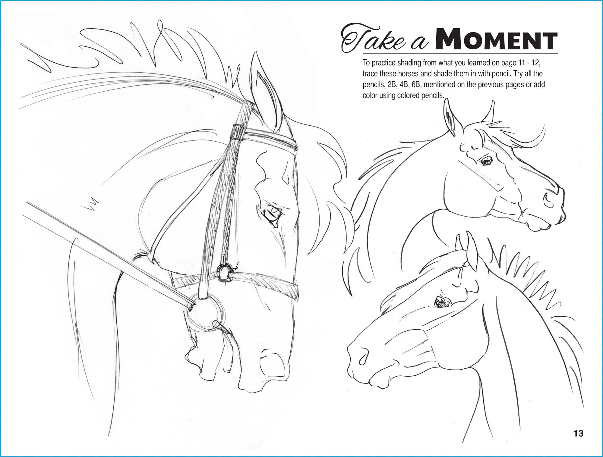 Horse Hollow Press - Art Book Animal Horse / Anyone Can Draw Horses / All ages