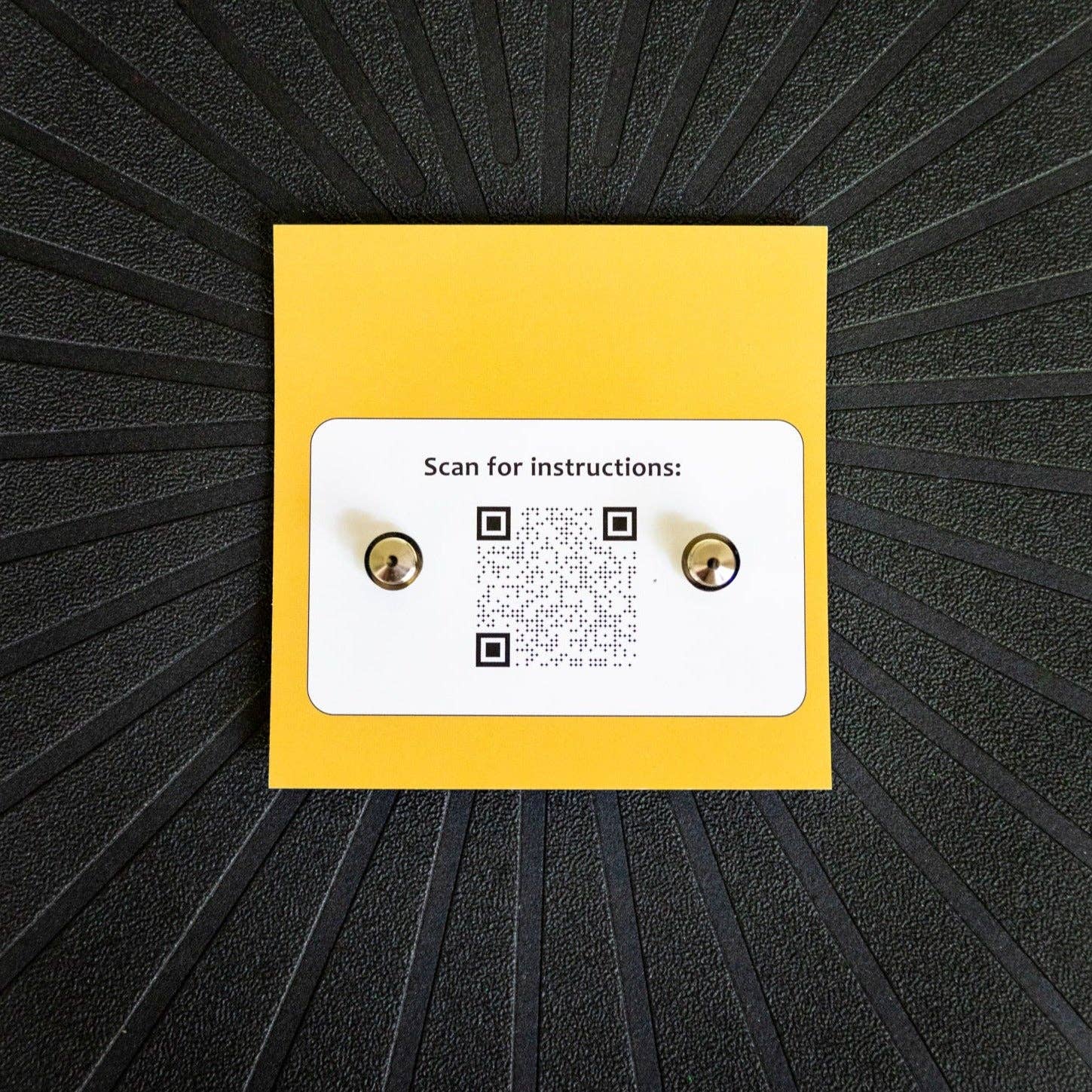 Pinsnickety - Avocado Pins - Exceptional Equestrian