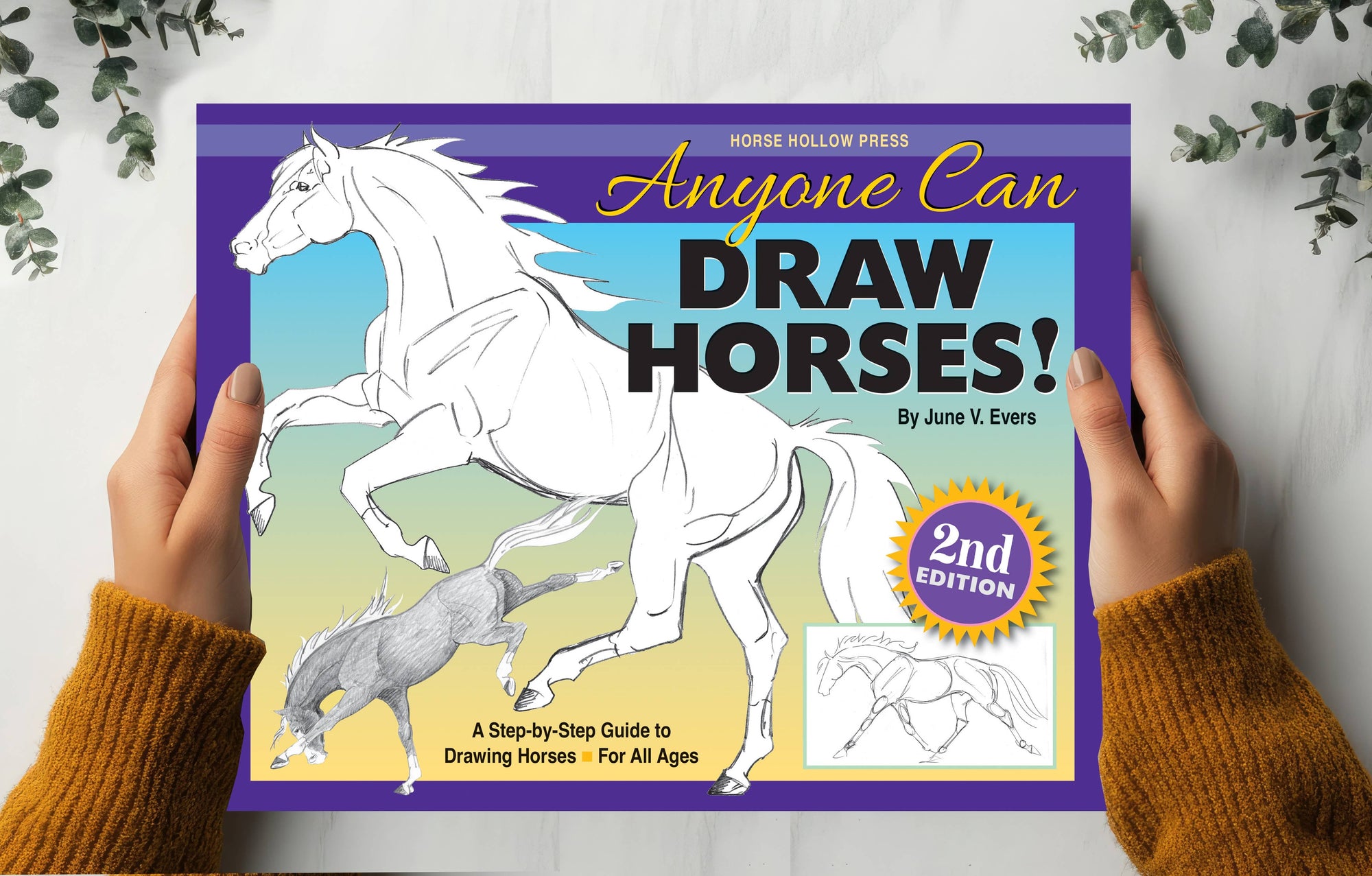 Horse Hollow Press - Art Book Animal Horse / Anyone Can Draw Horses / All ages