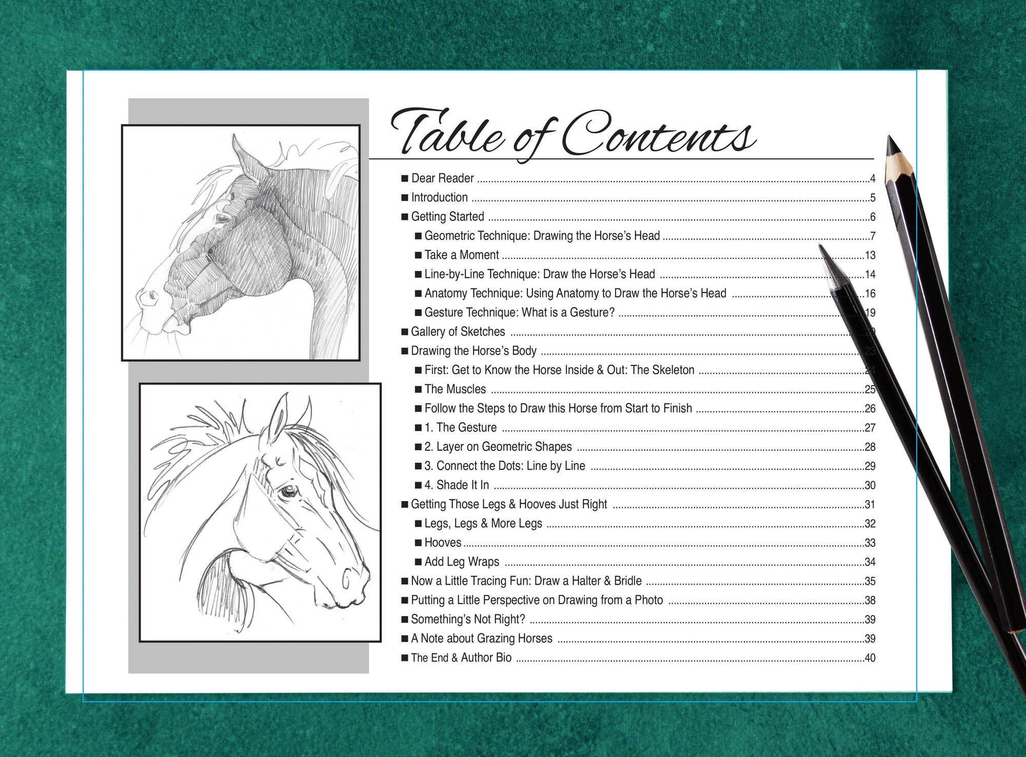 Horse Hollow Press - Art Book Animal Horse / Anyone Can Draw Horses / All ages