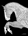 Horse Hollow Press - Art Coloring Kit / Horse Drawings / Colored Pencils Enclosed