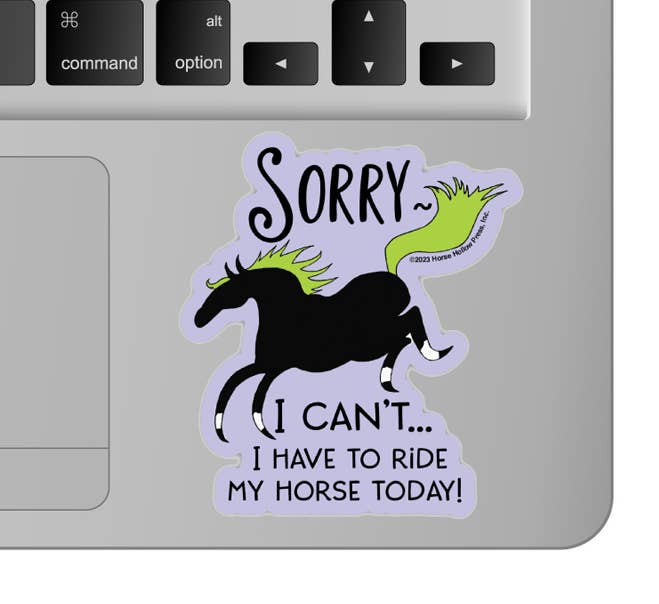 Horse Hollow Press - 3" Tumbler Horse Sticker / Sorry I can't Riding / WATERPROOF