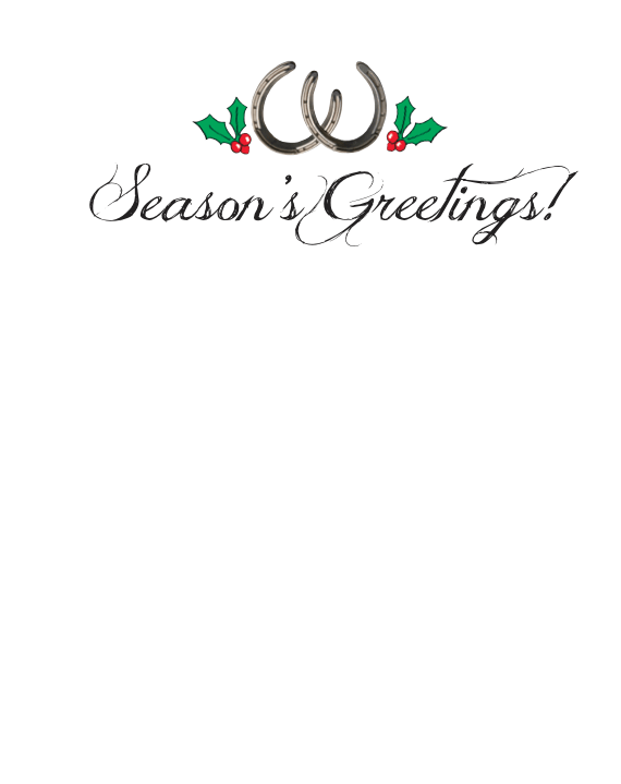 Horse Hollow Press - Horse Christmas Card / Bandages / Holiday Greeting Card