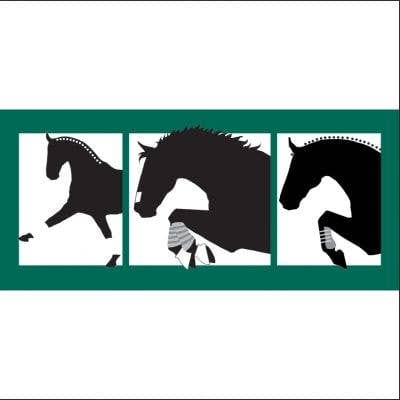 Horse Hollow Press - Horse Three Phase Eventing Sticker