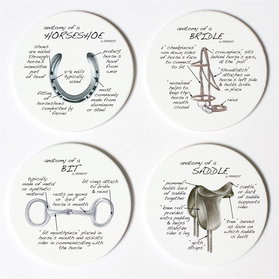 Dishique - Equestrian Tack Anatomy Coasters