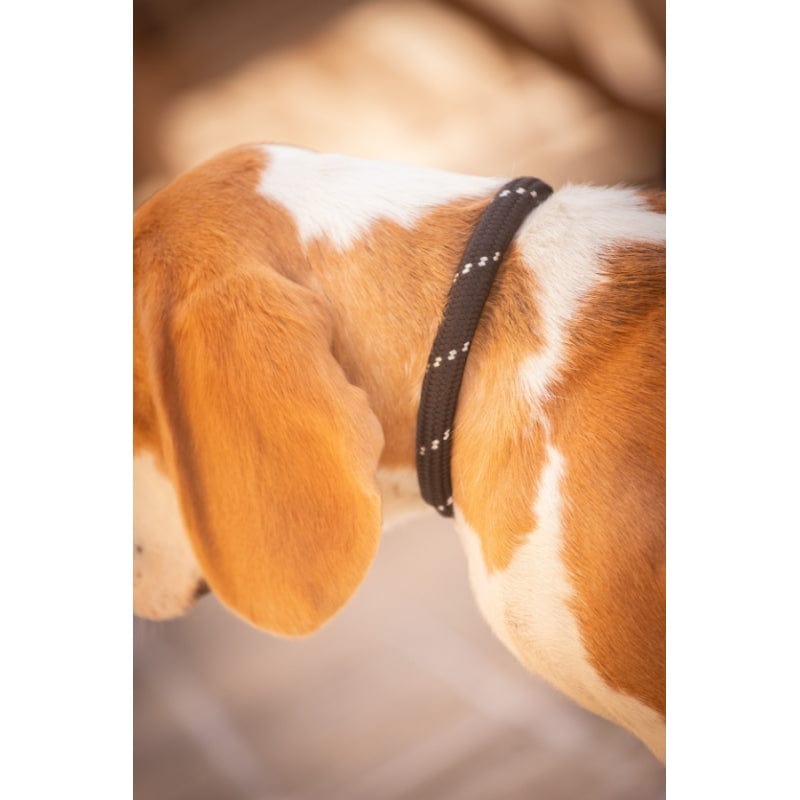 Pénélope - Billie Dog Collar