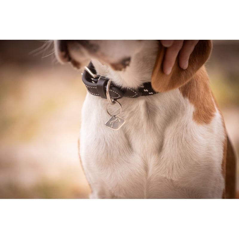 Pénélope - Billie Dog Collar