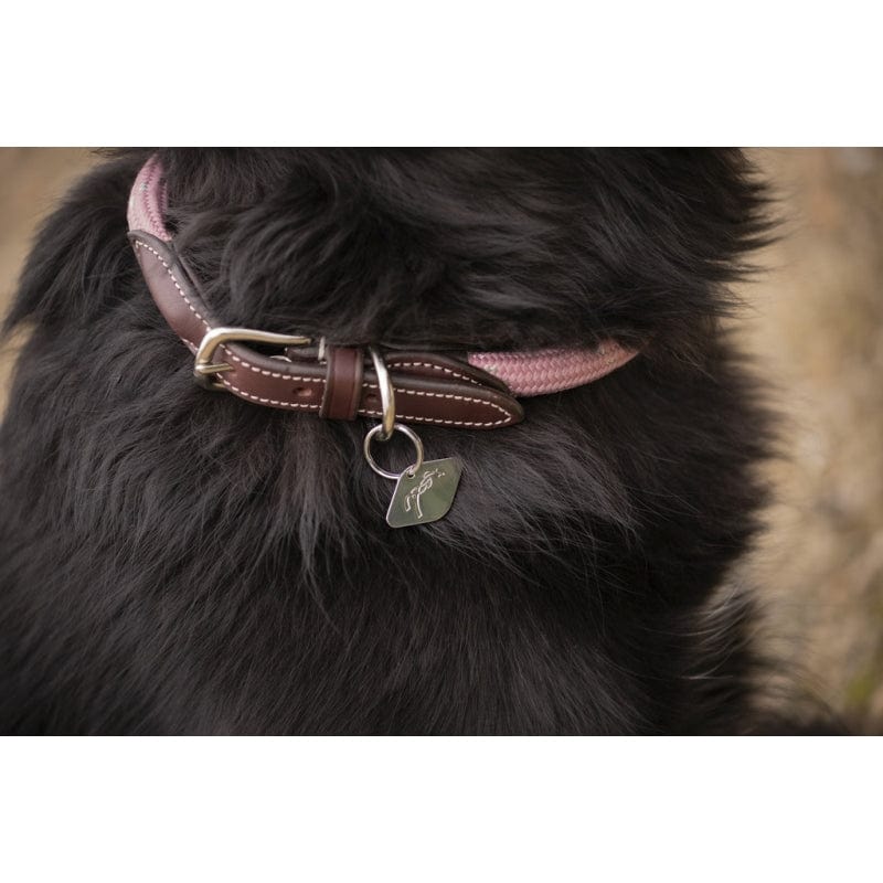 Pénélope - Billie Dog Collar
