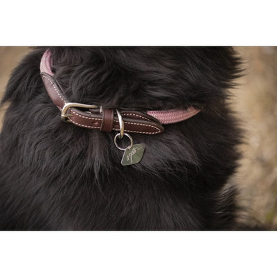 Pénélope - Billie Dog Collar