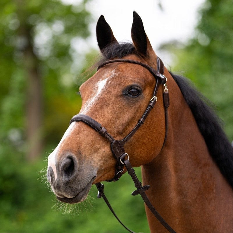 Jump'In Evolution series Bitless Bridle