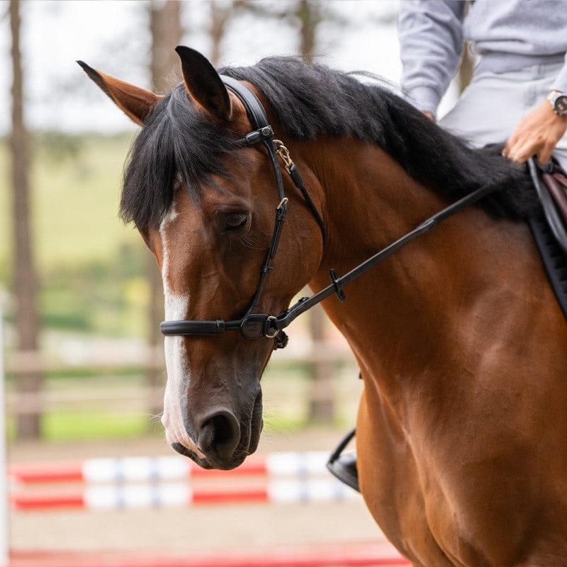 Jump'In Evolution series Bitless Bridle