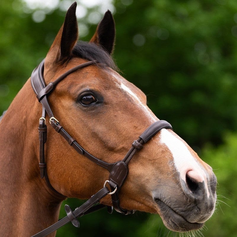 Jump'In Evolution series Bitless Bridle