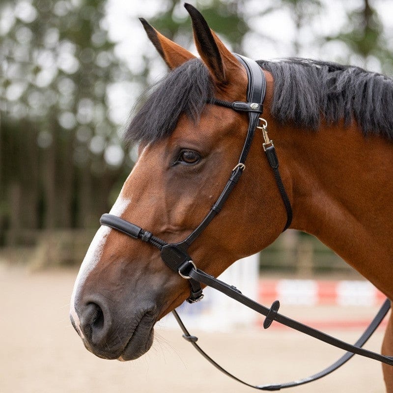 Jump'In Evolution series Bitless Bridle