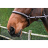 JUMP'IN - ONE - Bitless Bridle