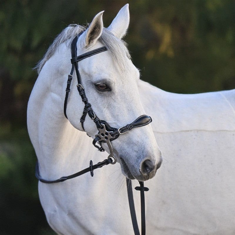 Jump'in Hackamore Bridle - One Premium