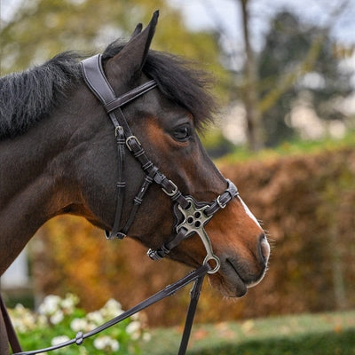 Jump'in Hackamore Bridle - One Premium