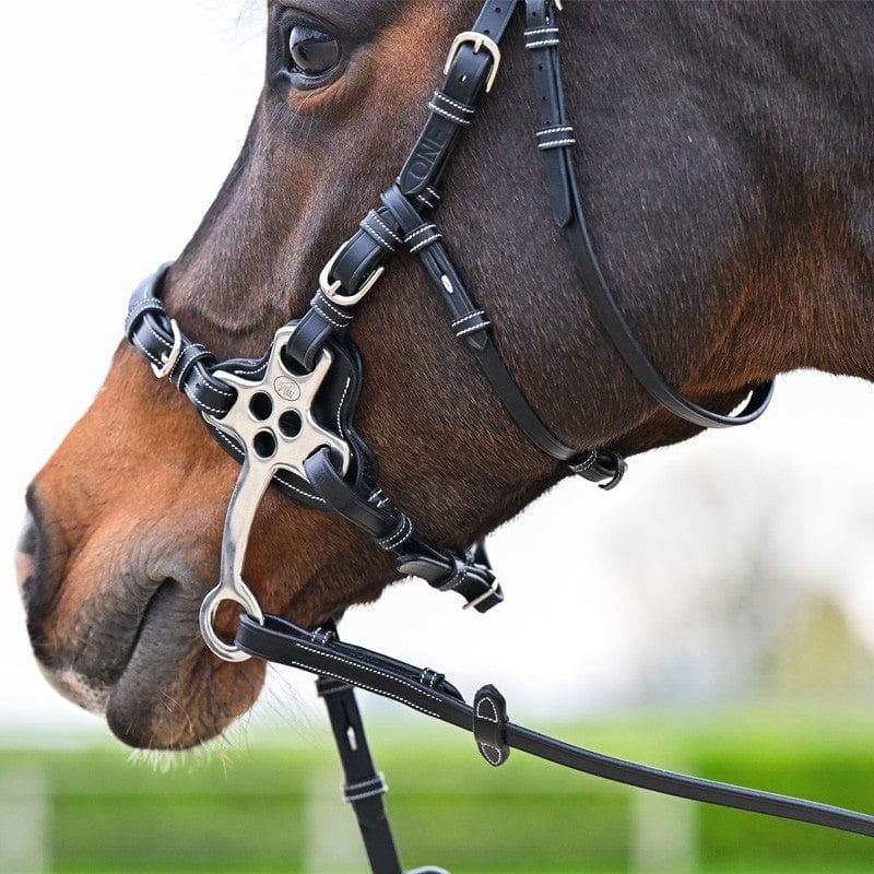 Jump'in Hackamore Bridle - One Premium